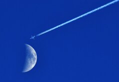 CLOSE CALL by Joe Wilson