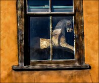 HORSE IN THE WINDOW by Guy Lawyer