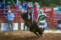 IT'S SNOT GONNA HAPPEN COWBOY by Doyle Terry