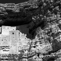 FORTIFICATION by Carl Shortt