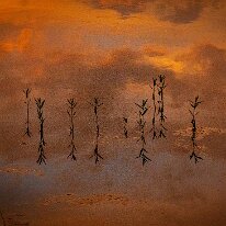 Floating In The Clouds by Sam Hyden