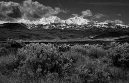 Desert and Snow