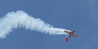 AERIAL ANTICS by Guy Lawyer