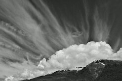 ET PHONE HOME by Joe Wilson