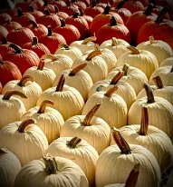 IN A ROW by John Williams