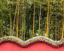 BAMBOO by Julie Tang