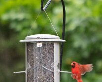 COMING IN FOR THE LANDING