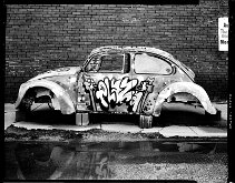 BUG ON LARGE FORMAT FILM by James Pratt