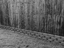 DROPLETS ON A WEB by Brent Babcock