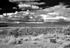EMPTY TABLE by Joe Wilson
