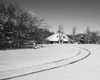 Snow Day by Julie Tang