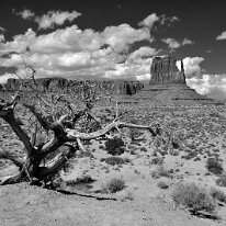 A CHANCE FOR RAIN AND WE NEED IT by Joe Wilson