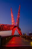 SCISSORTAIL by Bryan Hapke
