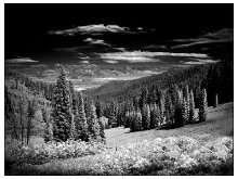 Beautiful Valley by Sam Hyden