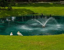 GARDEN FOUNTAIN by Bryan Hapke